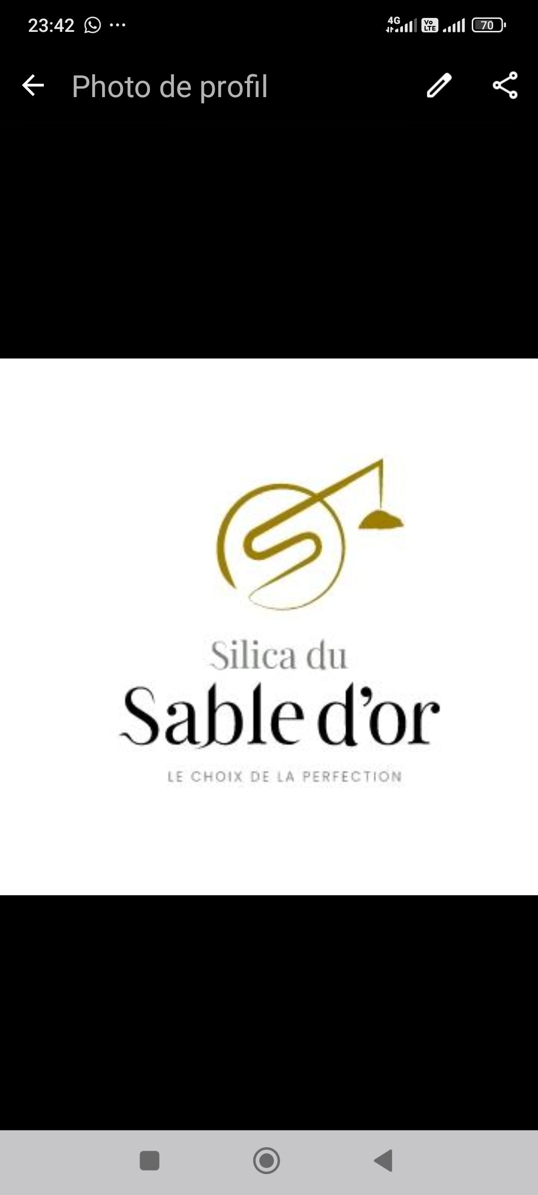 Logo Société silica du sable d'or